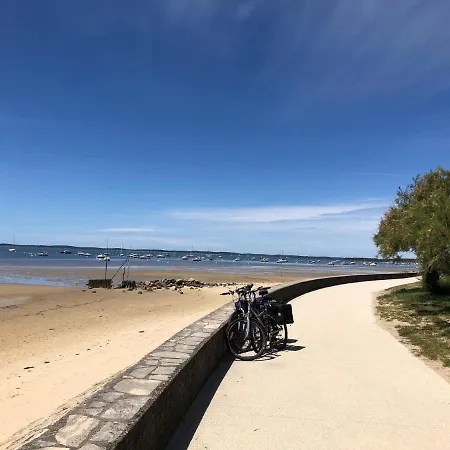 Ferry Bassin D'arcachon